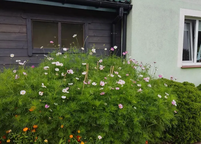 Nad Morzem 게스트하우스